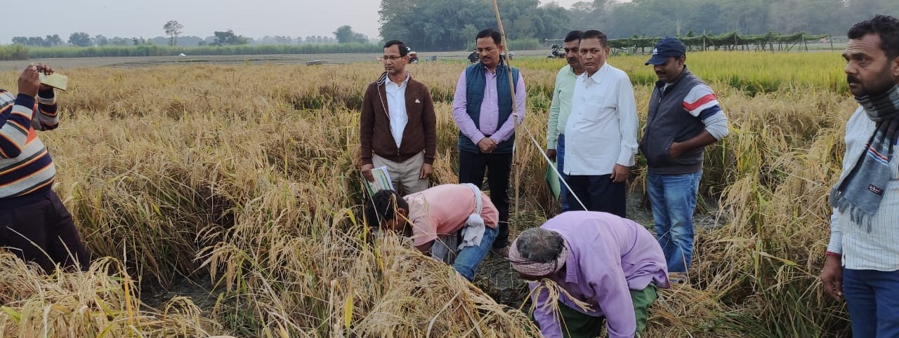 Crop Cutting Inspection